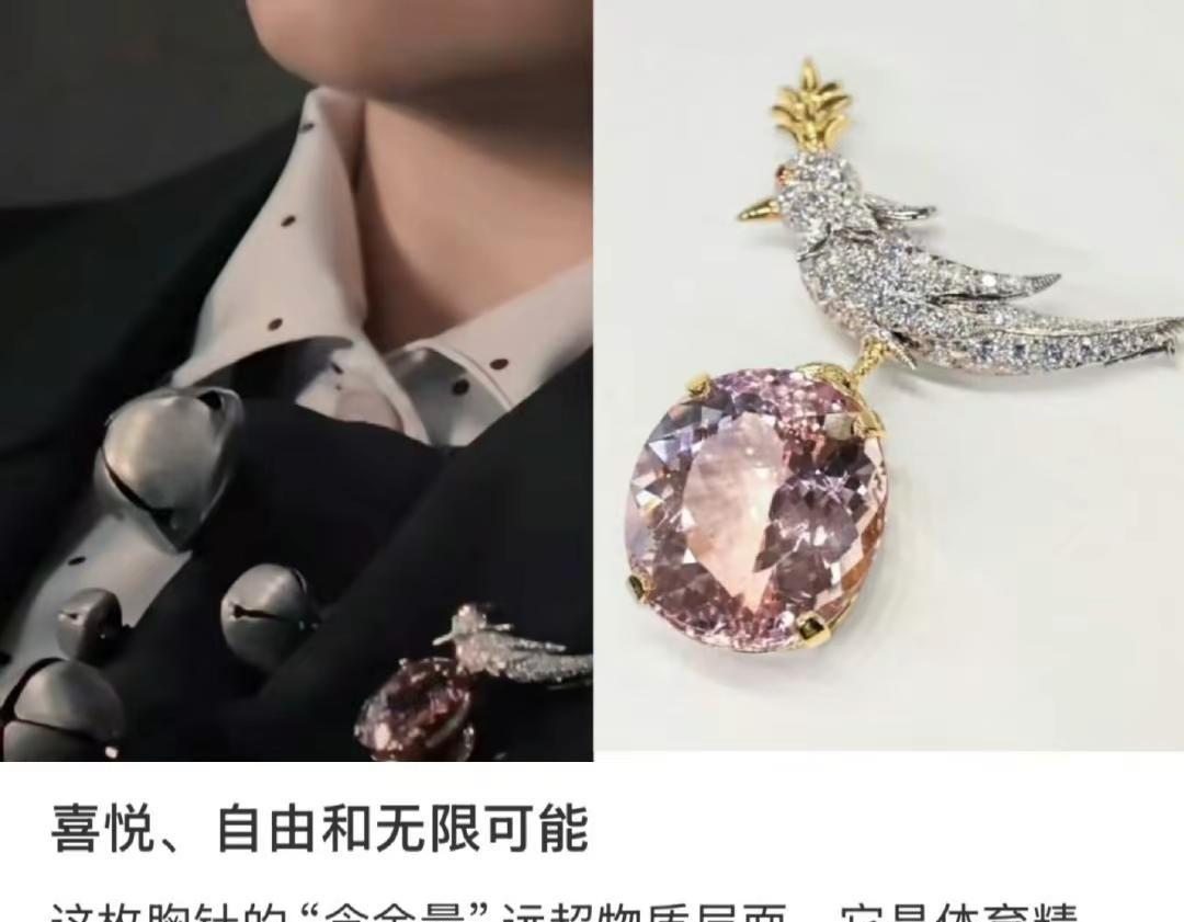 石上鸟胸针的寓意和莎莎真的十分契合。这只以翡翠雕刻的灵鸟伫立石上，既透着运动员的