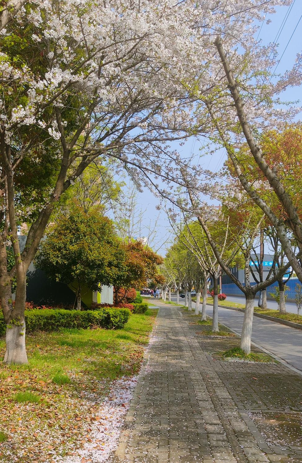 十男九男好色，十女就九慕强。男女之间，不见面的感情，迟早会消失。，男女没有身体做