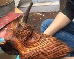 1973年，一男子捡了个树根拿回家砍柴烧，妻子:“炉灶里塞不进去，赶紧丢了”，男