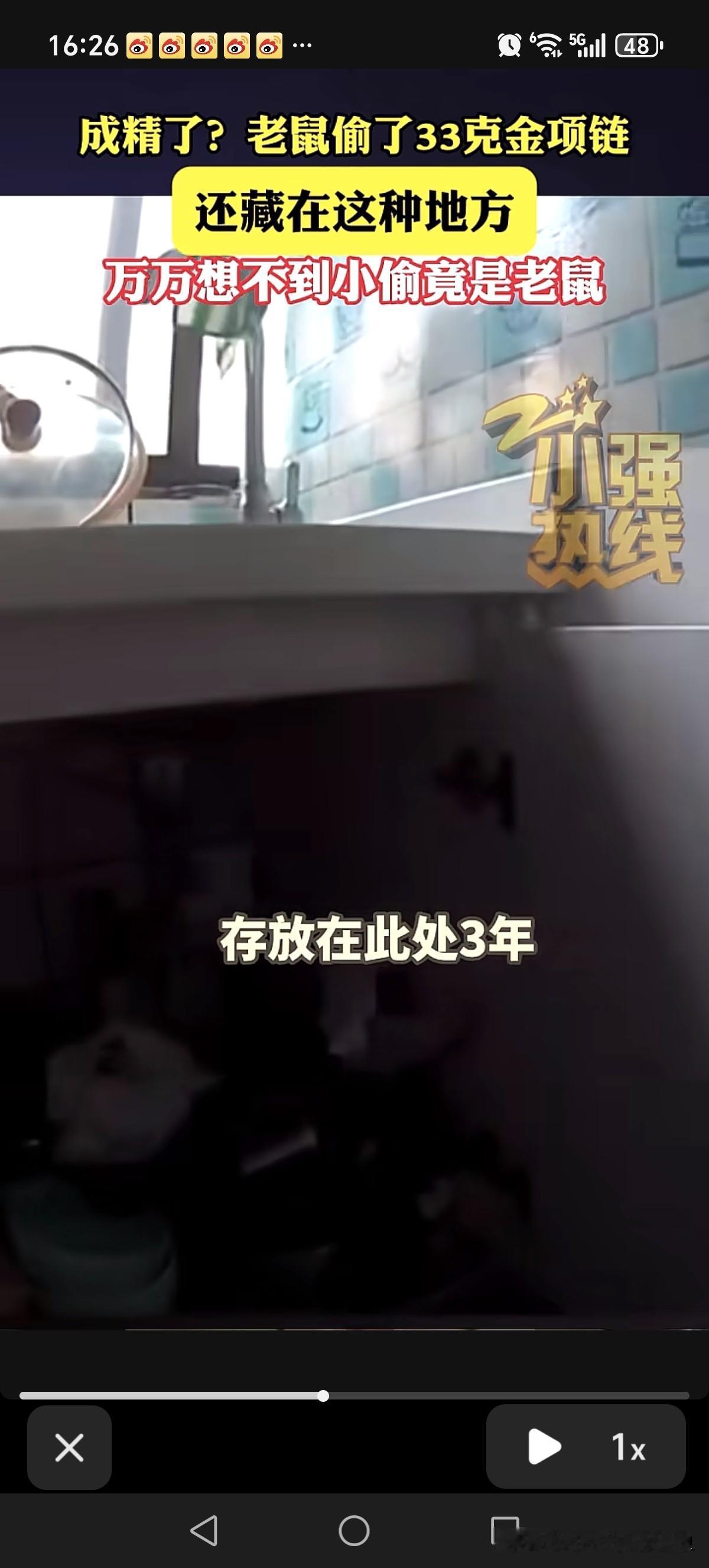 这只老鼠实在是太识货了，偷走了33克金项链，还藏在这种地方！近日，浙江嘉兴的租户