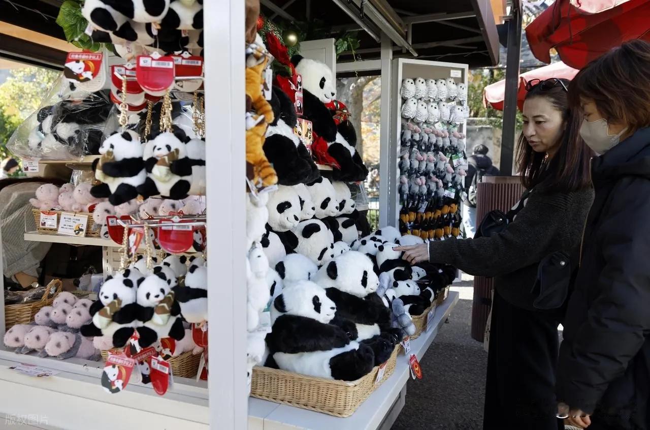 12月15日，木原稔的脸色很不好，他谈及大熊猫的问题，说道：“很希望与中国继续交