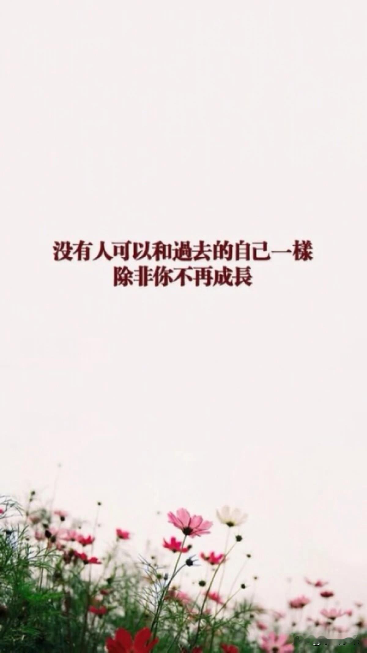 成长和成熟需要付出代价的这个代价可能需要用一生去偿还！时不我待！时也！命