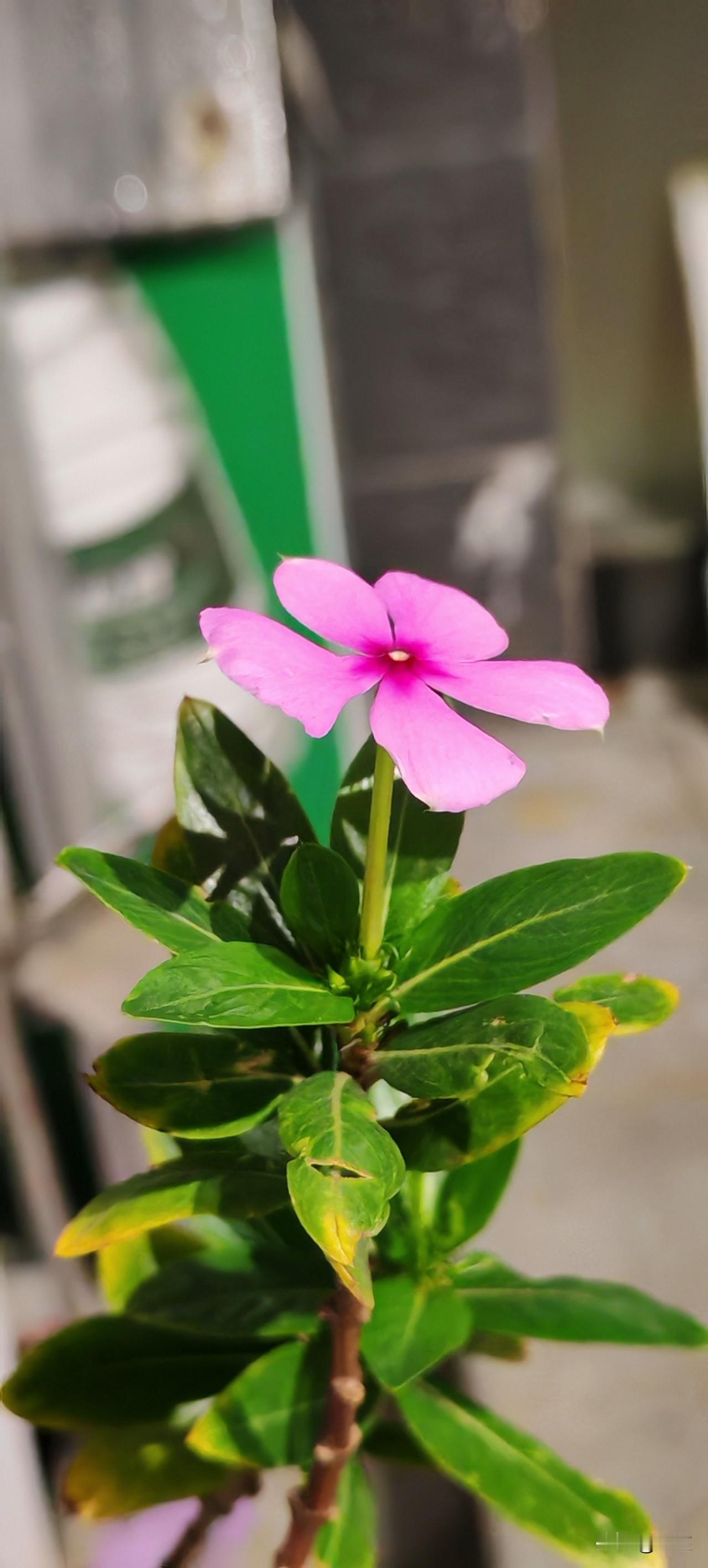 来路不明的人或者说不了解的人不要乱加好友。女子月薪一两万，由于抑郁症不能上班，