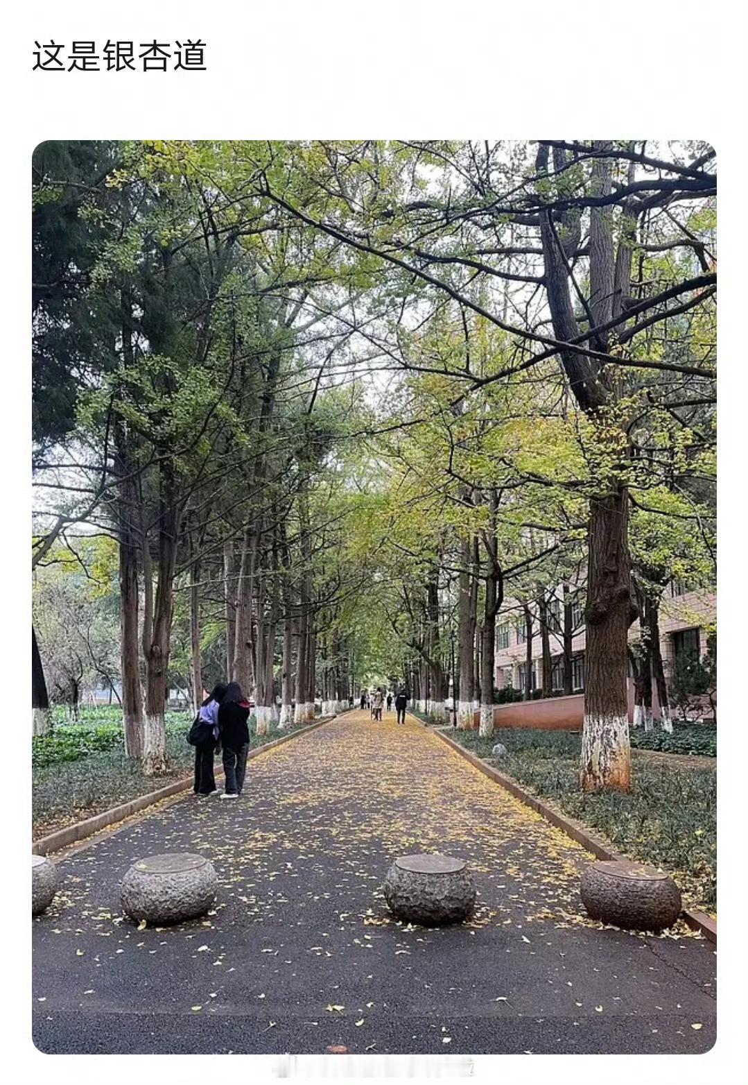 在步行街把猫碾压了，那个道歉声明在干什么？这种素质的剧组能拍出什么好剧？对生命没