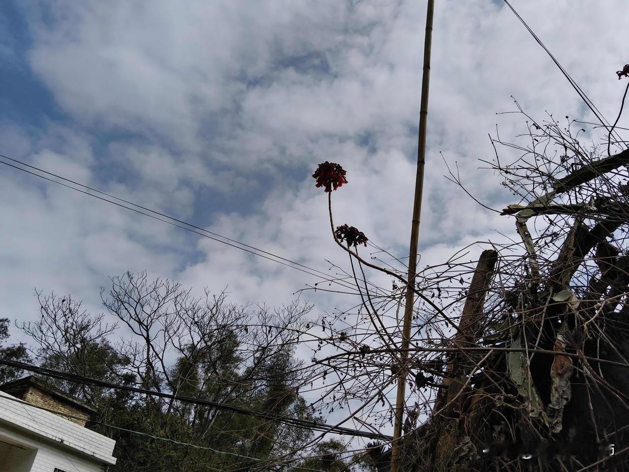 大年初五被嫂子骂哭了😭你们过年有没被人骂过或拌嘴，事情是在娘家发生的，我洗好