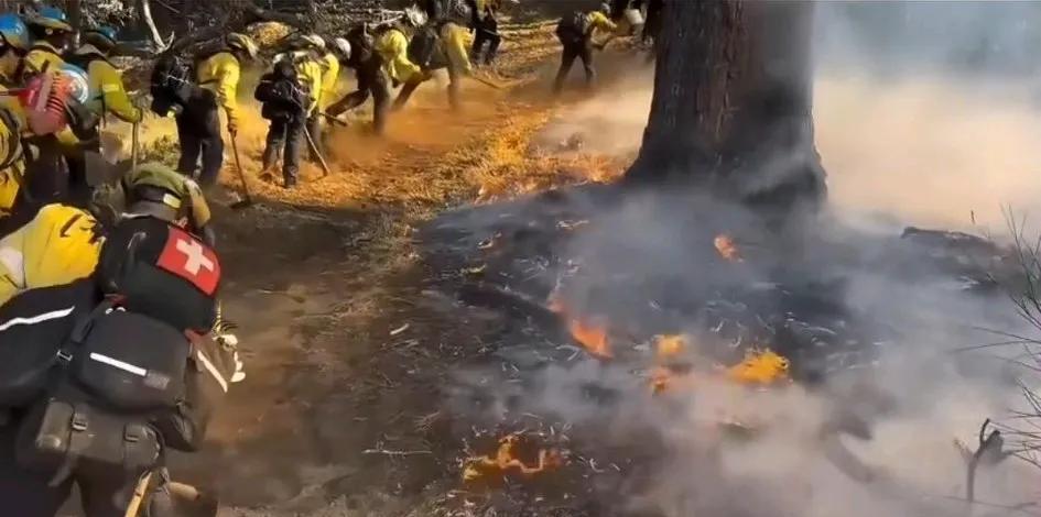 这么多人刨坑干啥？美国火山现场，一块草地着火，消防员为何不直接浇水他们是不是在