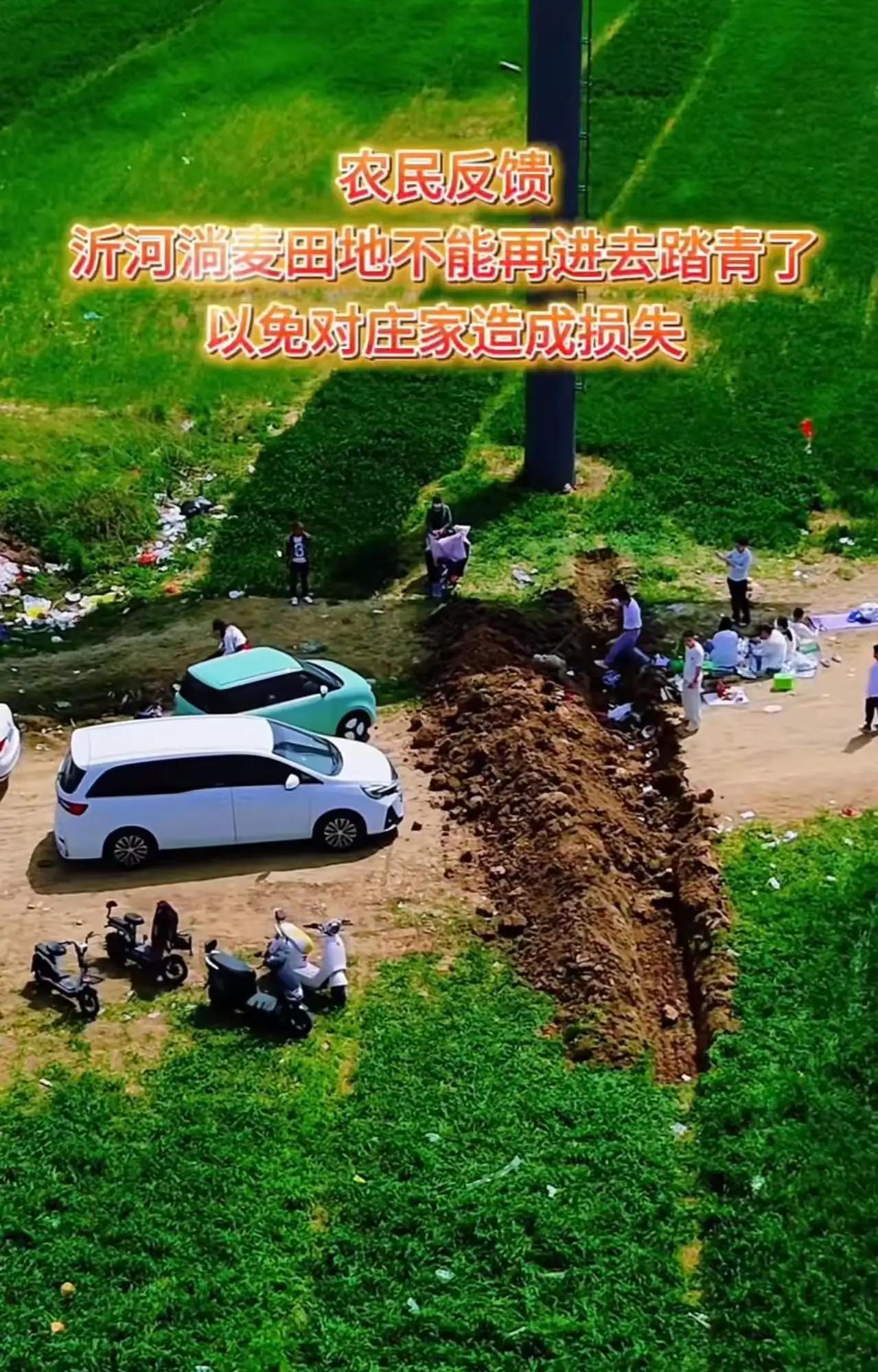 怒了！江苏沭阳城里人肆意踩毁麦田，农民被逼挖路维权，反被怼：你就是个种田的！