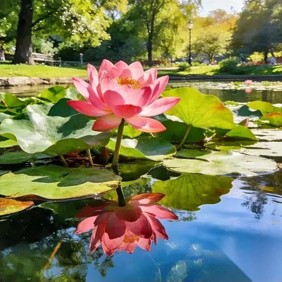 占小便宜？这人偏不要！为啥？背后藏着大讲究。多数人见便宜就抢，甚至耍心眼