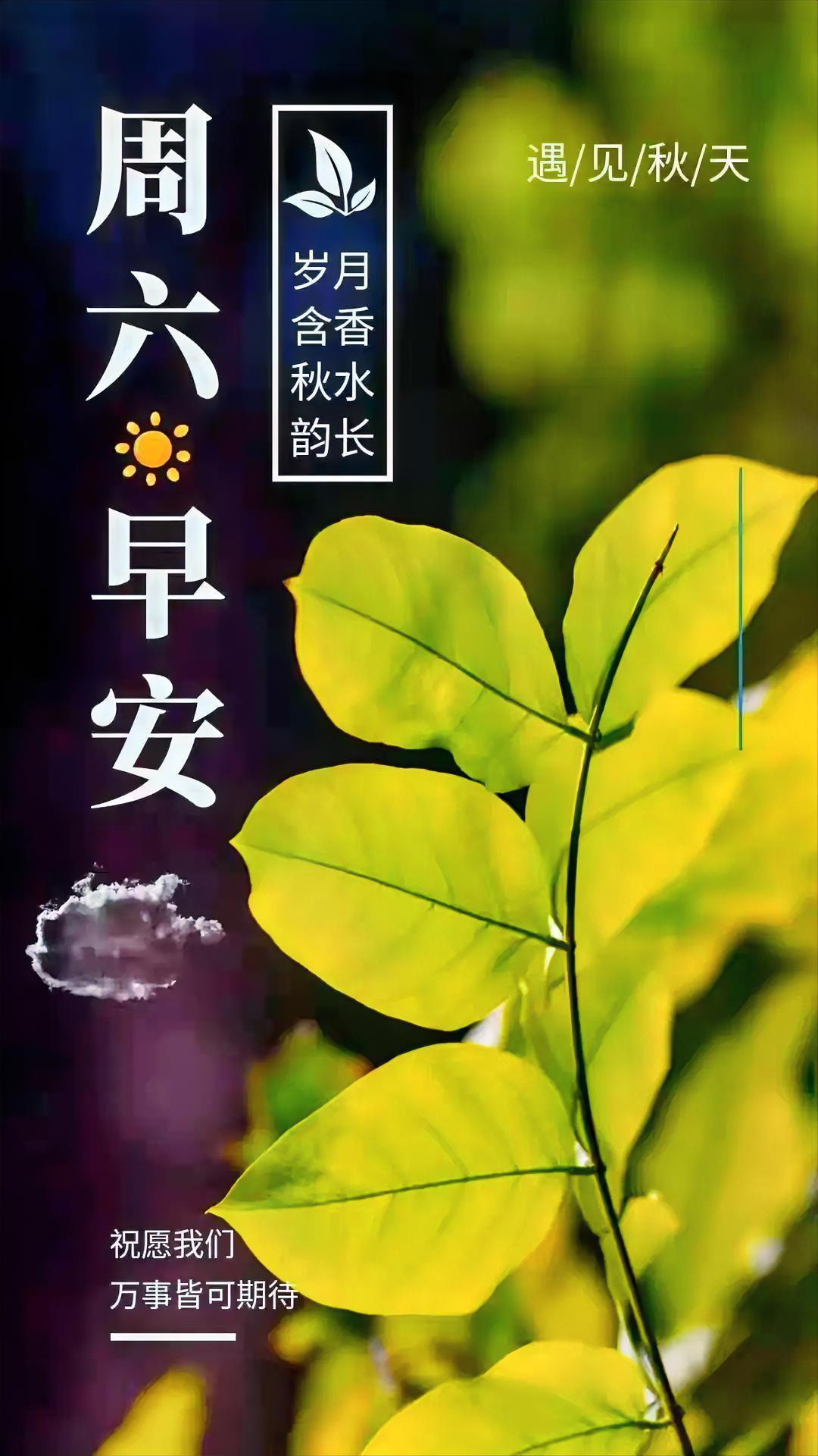 周六早安呀！此刻秋风渐起秋意凉，周遭岁月静美生幽香，整个人都觉得格外舒心惬意。