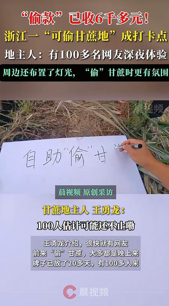 万万没想到,浙江绍兴一男子,竟然号召全网网友来自家地里偷甘蔗,还贴心的准备了削皮