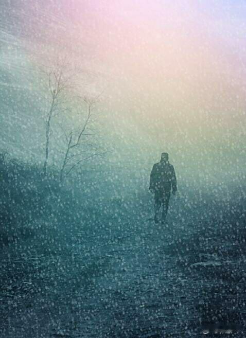 杨同学问我：你执迷了这些年，咋突然想明白了？我笑了笑：因为当我发现我不舍之人没有