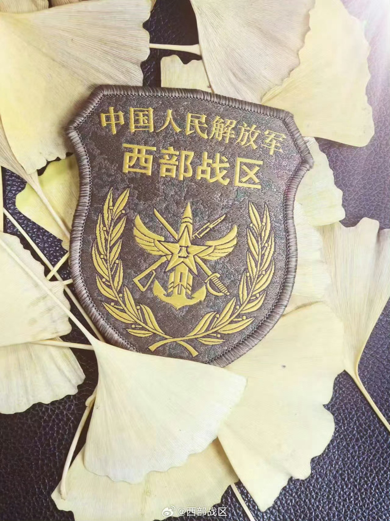 早安中国🇨🇳