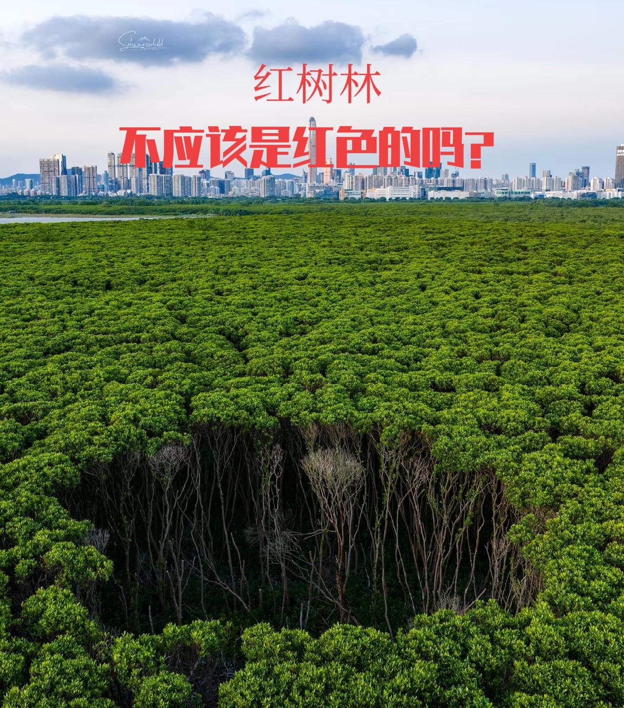 中国唯一，全球唯一全球唯一处于城市腹地的国家级自然保护区：深