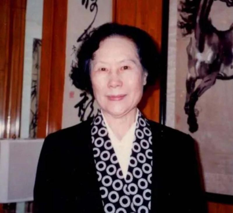 1958年，北京。一个9岁的小男孩出生了。他姓廖，名叫"廖鸿华"。三个字是三个人