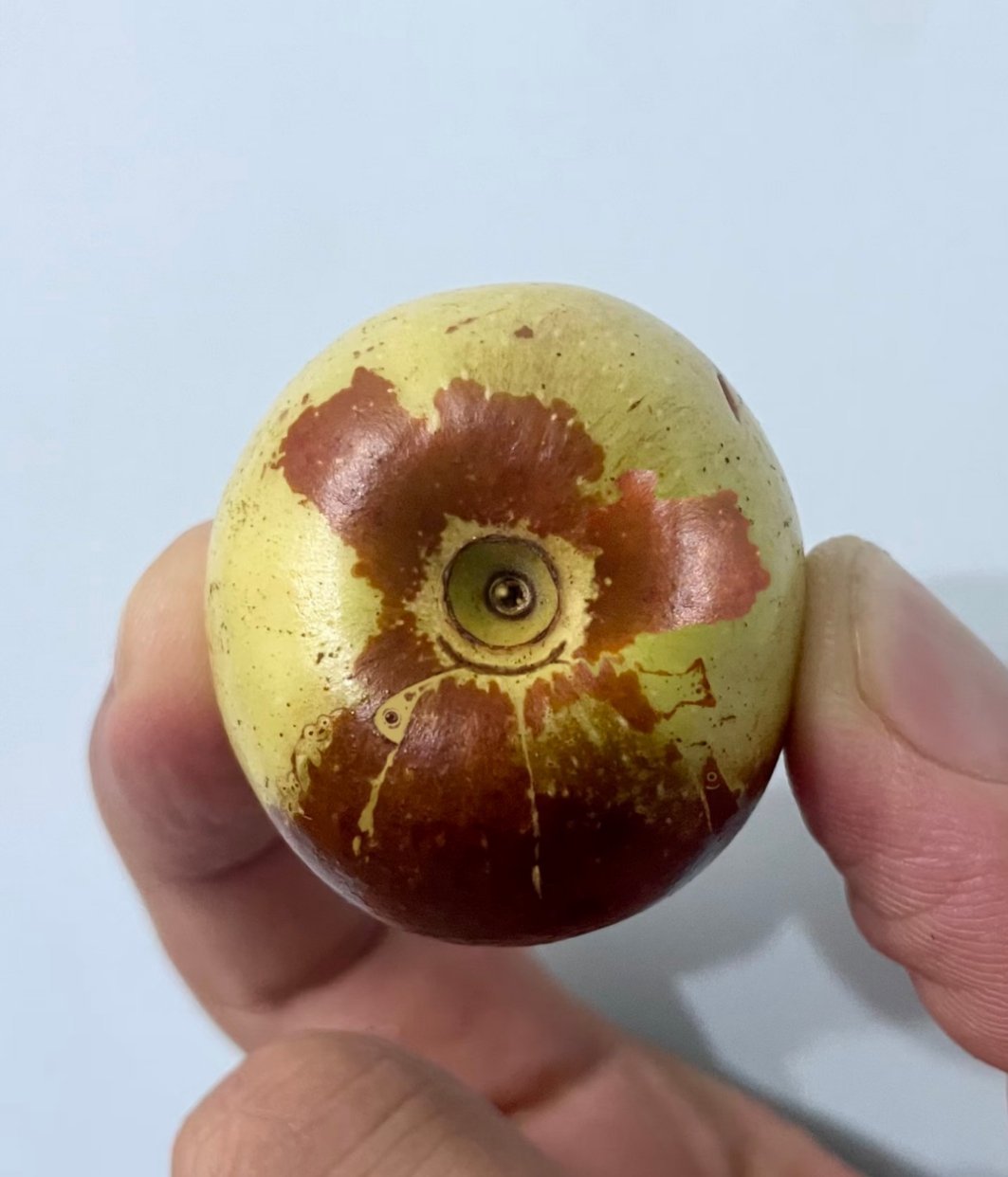 枣上发现的，买回来的冬枣，发现上面的纹路也可以进行各种联想。于是，就一图多联想画