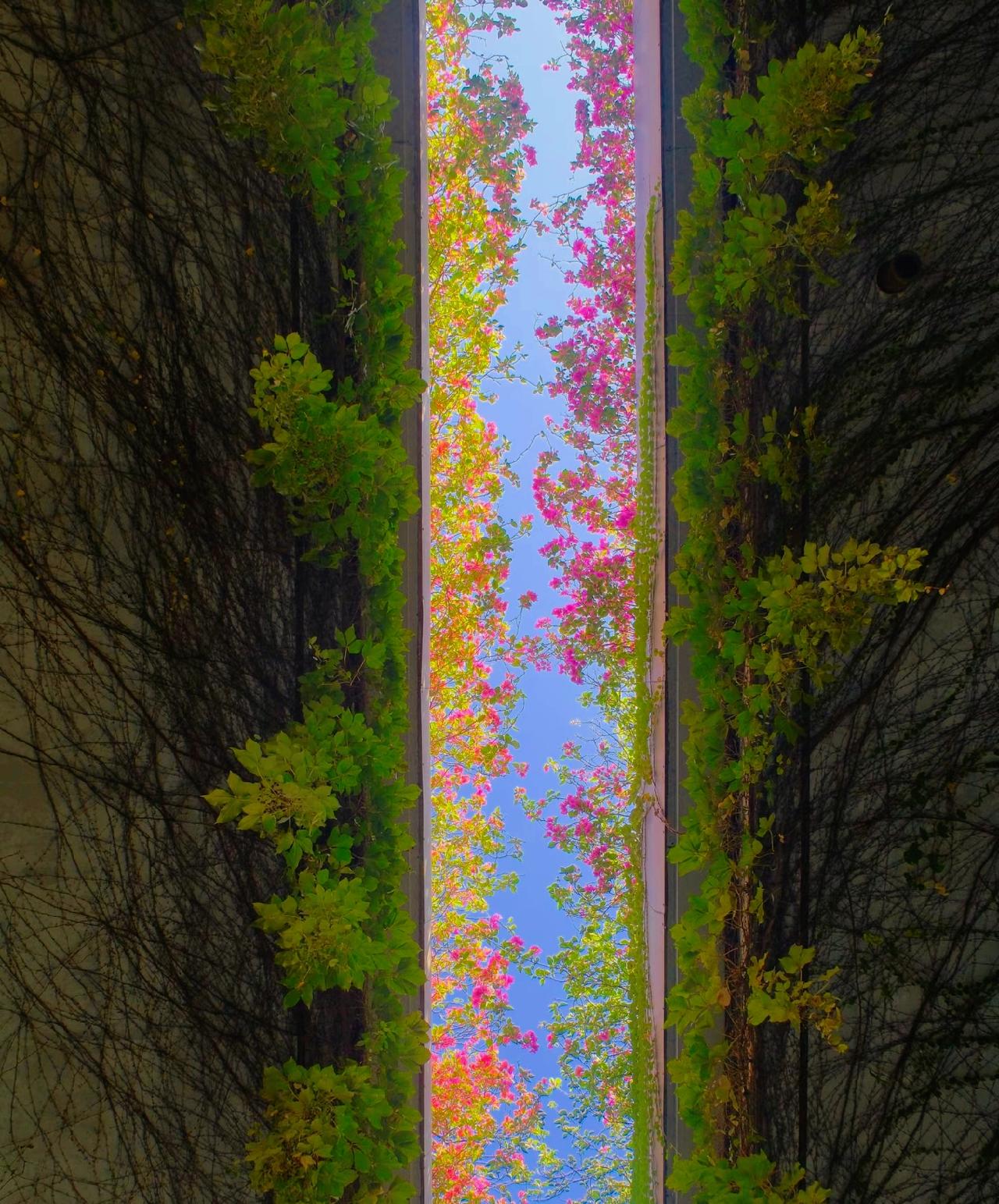 你以什么样的态度对待世界，世界就会给你什么样的回馈。所谓人情世故，就是维护脸面