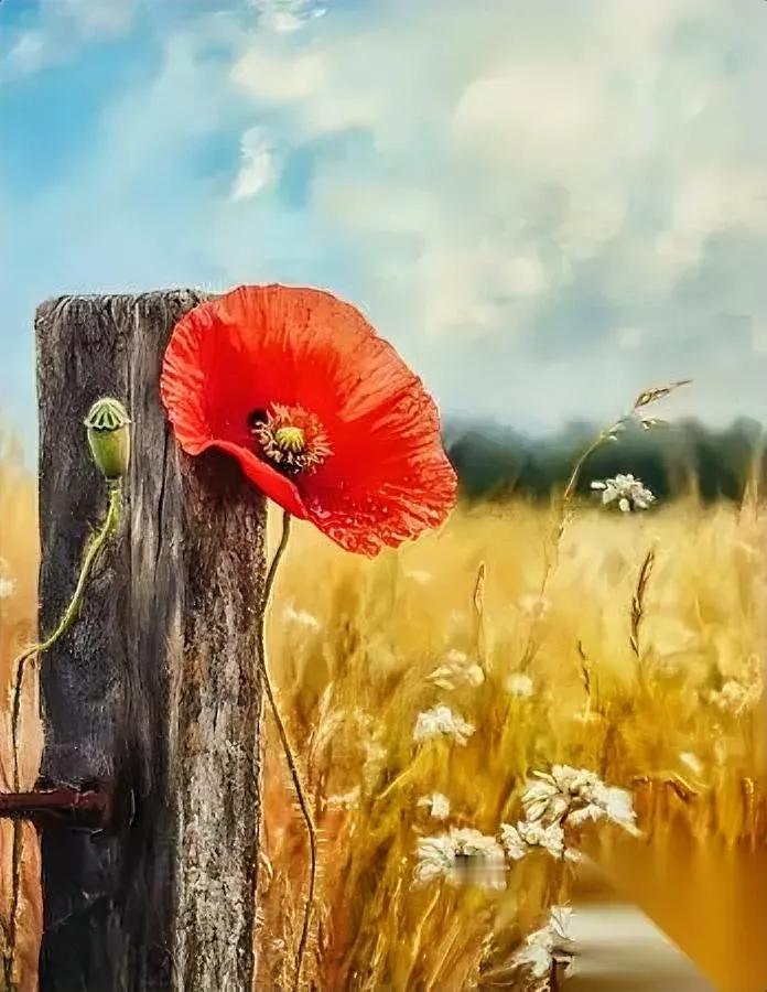 孩子成年后为啥不恋家？背后藏着让人心酸的真相最近看到句话扎心了：孩子不恋