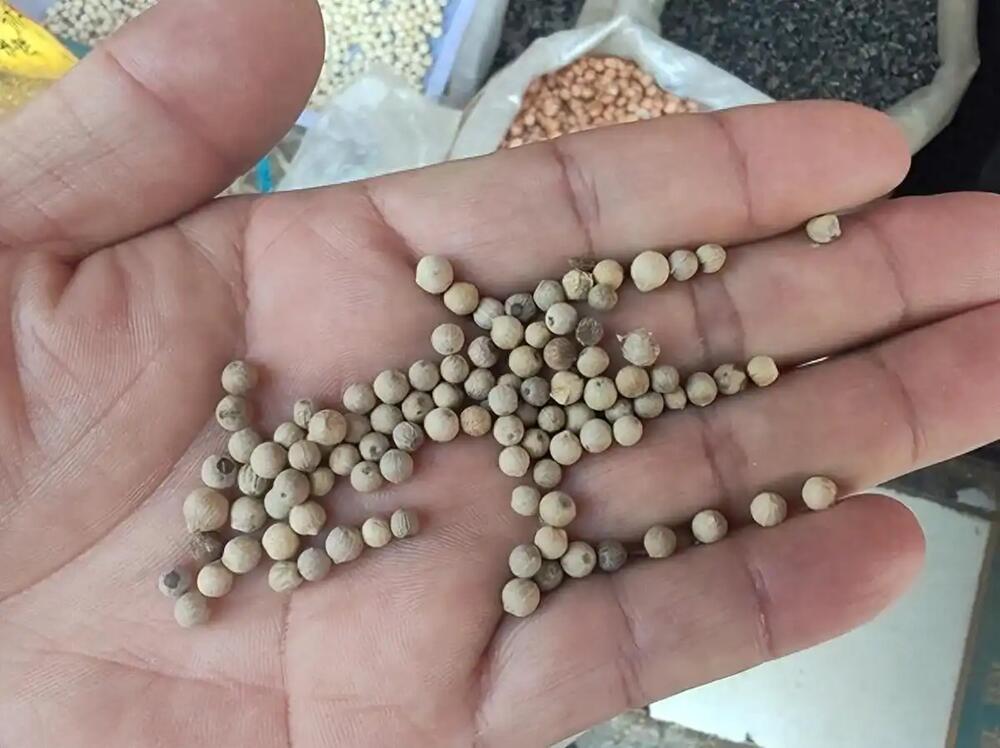 跟你说个吓人的事，现在连白胡椒粉这种最普通的调料，造假都造得没边了。有记者专门跑