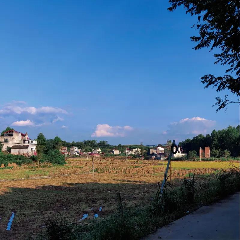 现在城里的农民工确实越来越少了。一方面，农村的发展变好了。国家对农村扶持力度大，