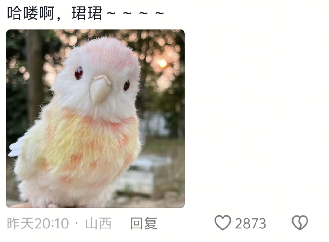 啊啊啊啊啊啊谁敢看毕雯珺评论区这群人扔下一堆鹦鹉就走留我一人在这笑的发昏毕雯珺张