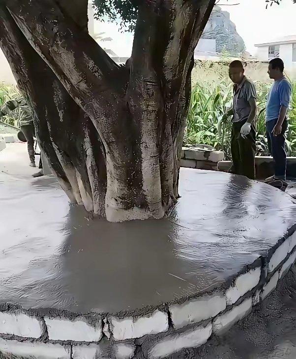 荒唐，这是保护还是破坏？