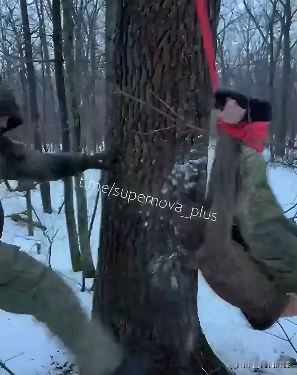 这好像是把人的手脚捆在一起吊在了树上，好像还有人对他进行拳打脚踢，在这么寒冷的天