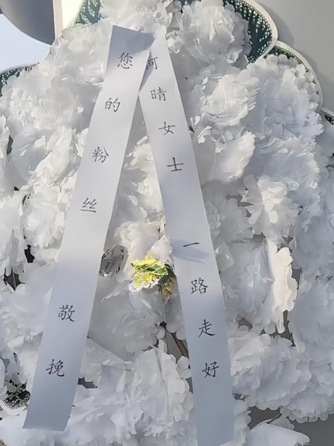 许晴虽然离婚好多年，但儿子一个人孤独的捧着他妈妈的骨灰时，作为父亲的许亚军是不是