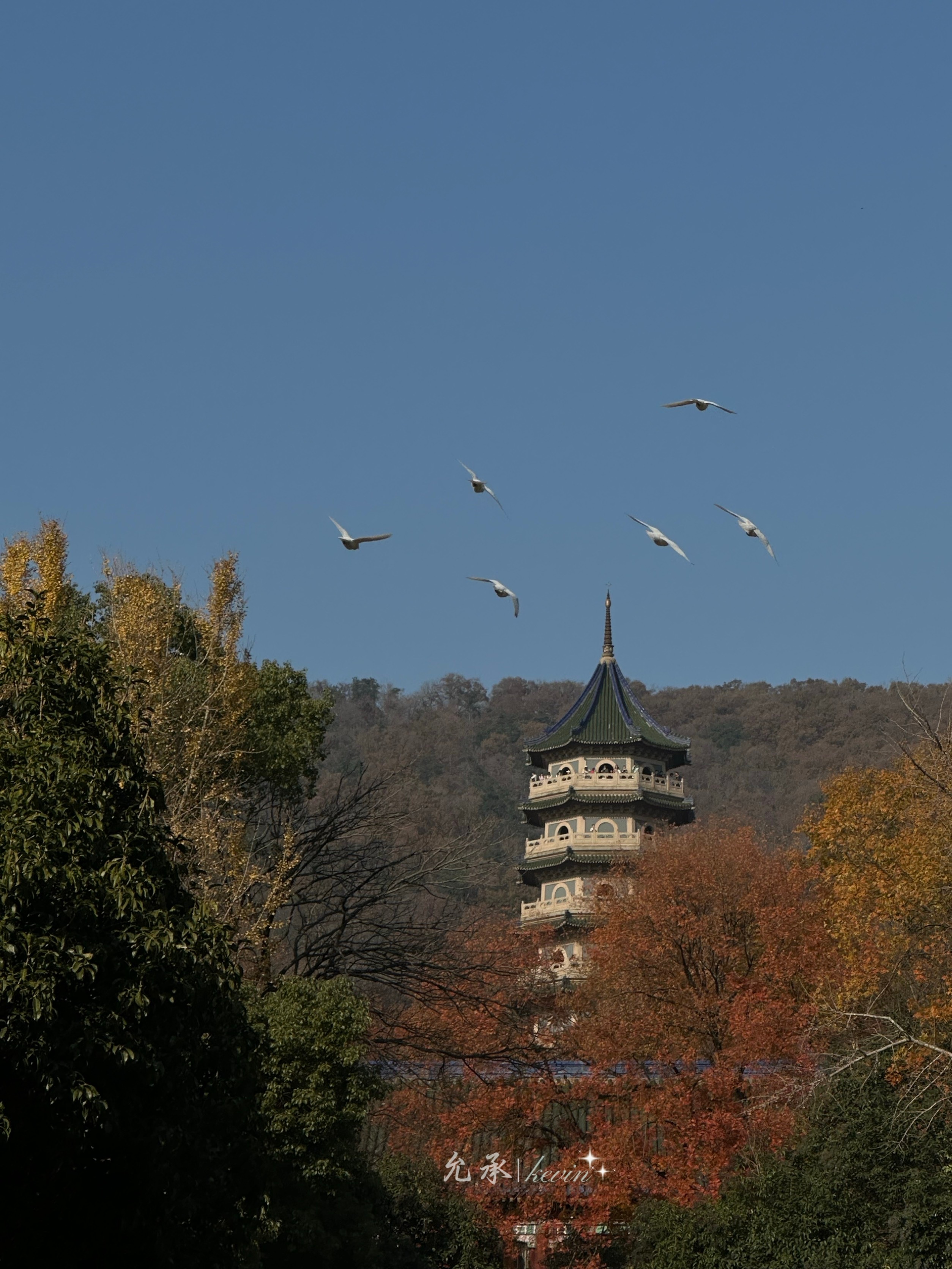 倒计时开始：7天后，重启世界。2026加载中…下周四就2026了