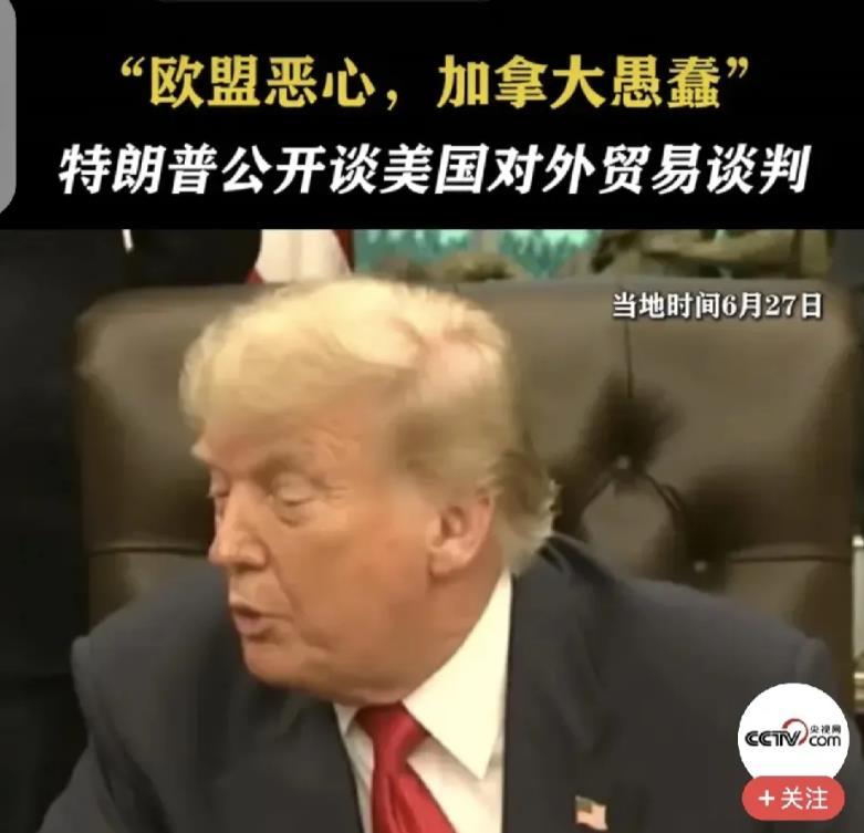 听到特朗普说欧盟恶心，加拿大愚蠢，国内一些人的下意识反应是说得对。虽然欧盟和加拿