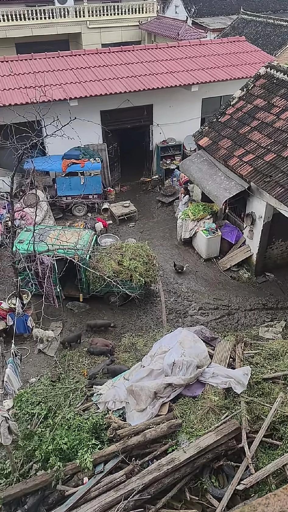 摊上这样的邻居也是醉了，鸡鸭鹅狗猪养了个全，粪便不收拾，这天天下雨，不敢开窗通风