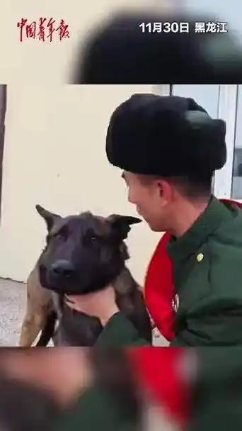 【退伍季催泪一幕！老兵与军犬的告别看哭了】军营铁汉也有最柔软的时刻！这几天，