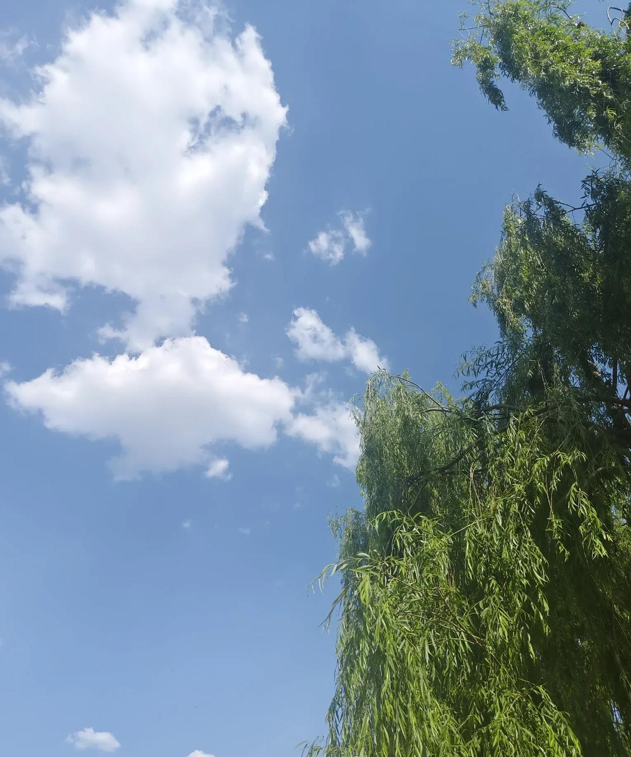 表妹的龙凤胎今年都参加了高考，我观察两个孩子脸上的笑，应该考得还凑合。表妹心里