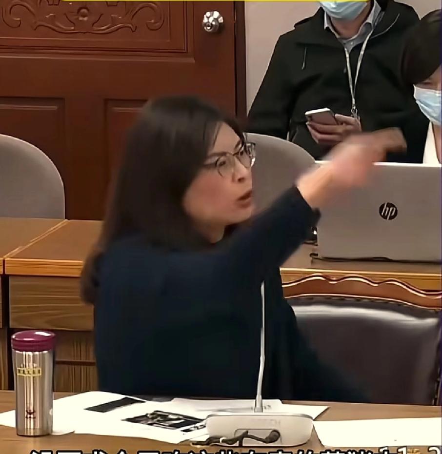 郑丽文彻底“摊牌了”绿营下手也是真够黑的！嘉义那边直接抓了13个国民党的人，