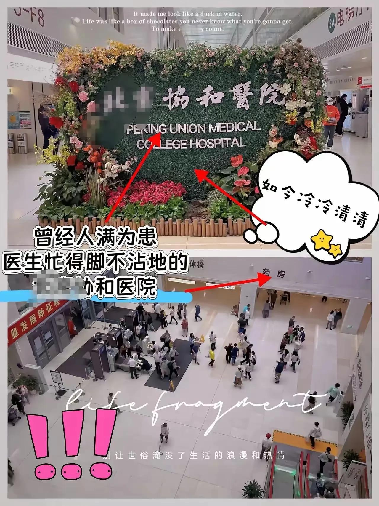 全国排名第一的北京协和医院曾经人山人海，如今因为董某莹事件和4+4招生门可罗雀?