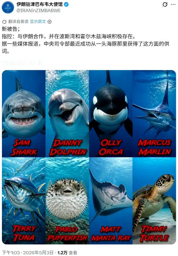 美国《华尔街日报》报道称，伊朗正在考虑训练海豚来执行自杀式攻击任务，就是给海豚绑