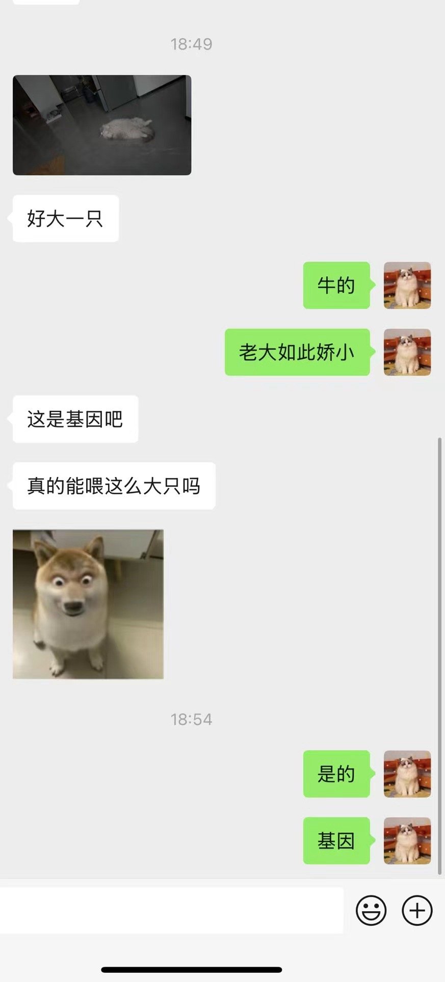 大不大看基因，什么系不系都是扯淡，最后就是血统基因的事（家长）​​​