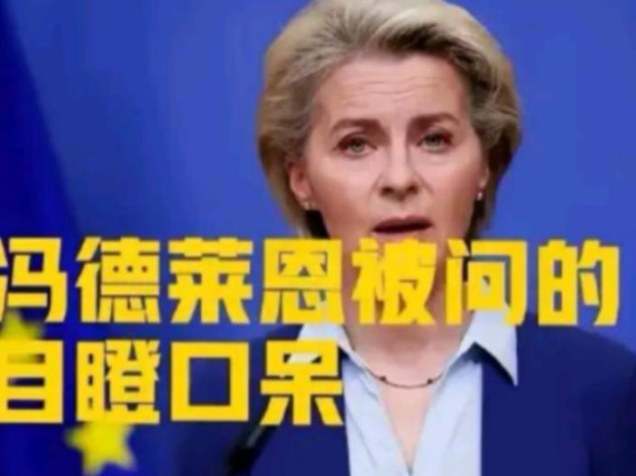 冯德莱恩在台上宣布，永久停购俄罗斯油气！话音未落，芬兰代表立刻抛出一个让整个会场