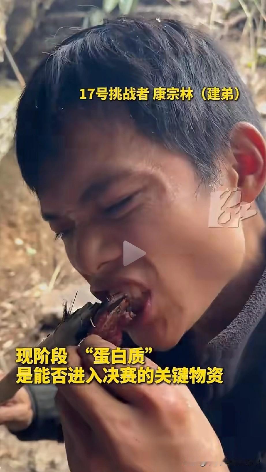 荒野求生这俩兄弟啃上几十斤野猪肉，其他选手啃树皮张家界求生赛的画面把我看傻