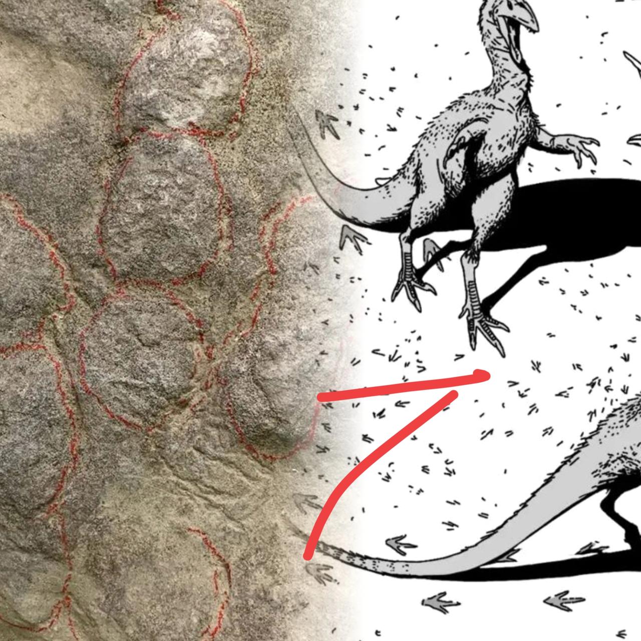 什么？四川富顺这个村子火了！网友炸锅……村民铺路石竟是1.9亿