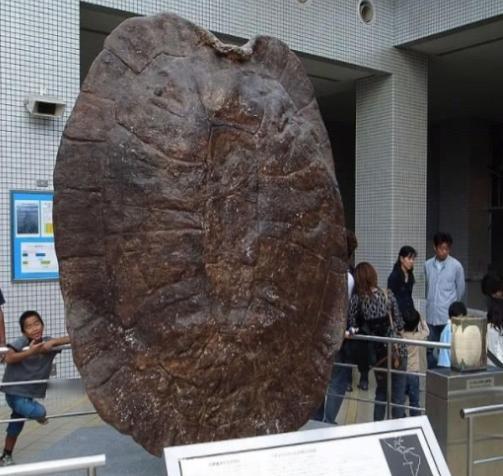 1994年5月，江苏盐城千秋大桥施工现场，竟然发生一件离奇怪事，早起的工人们更是