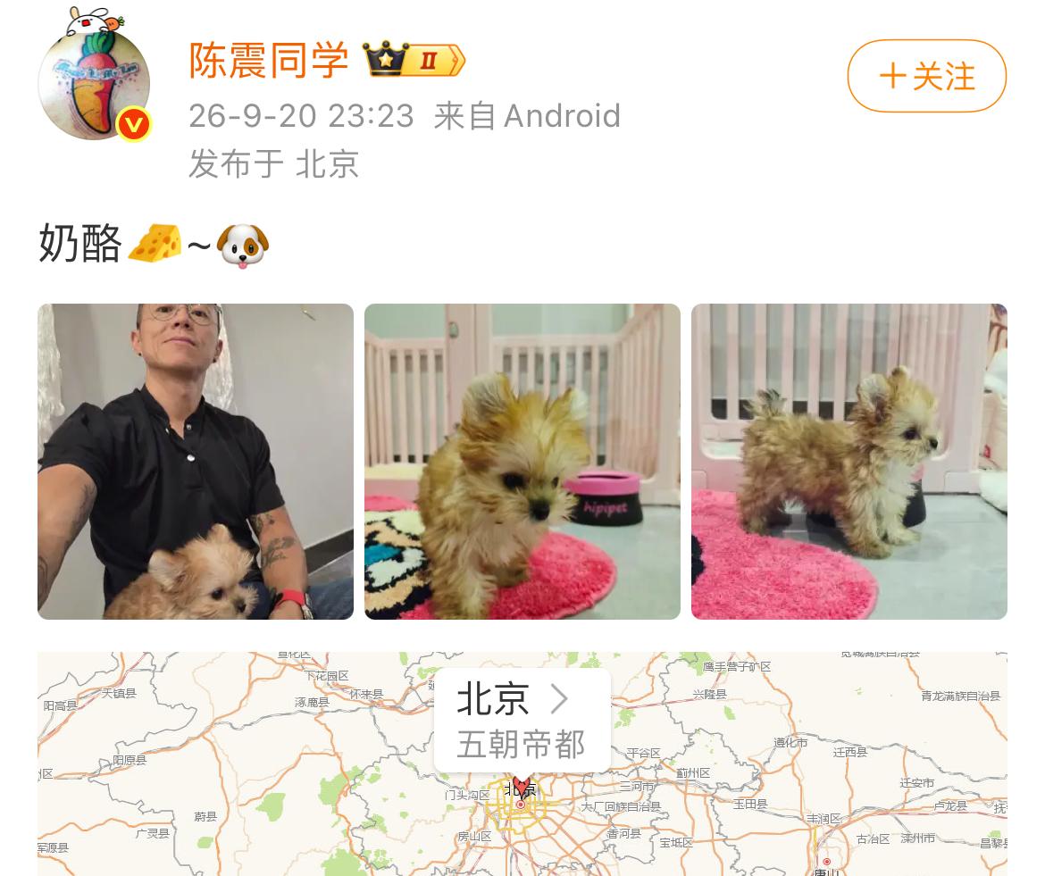 陈震家里又来了新成员，一只可爱的小狗，家里还有一只布偶猫，至此算是猫狗两全了，不