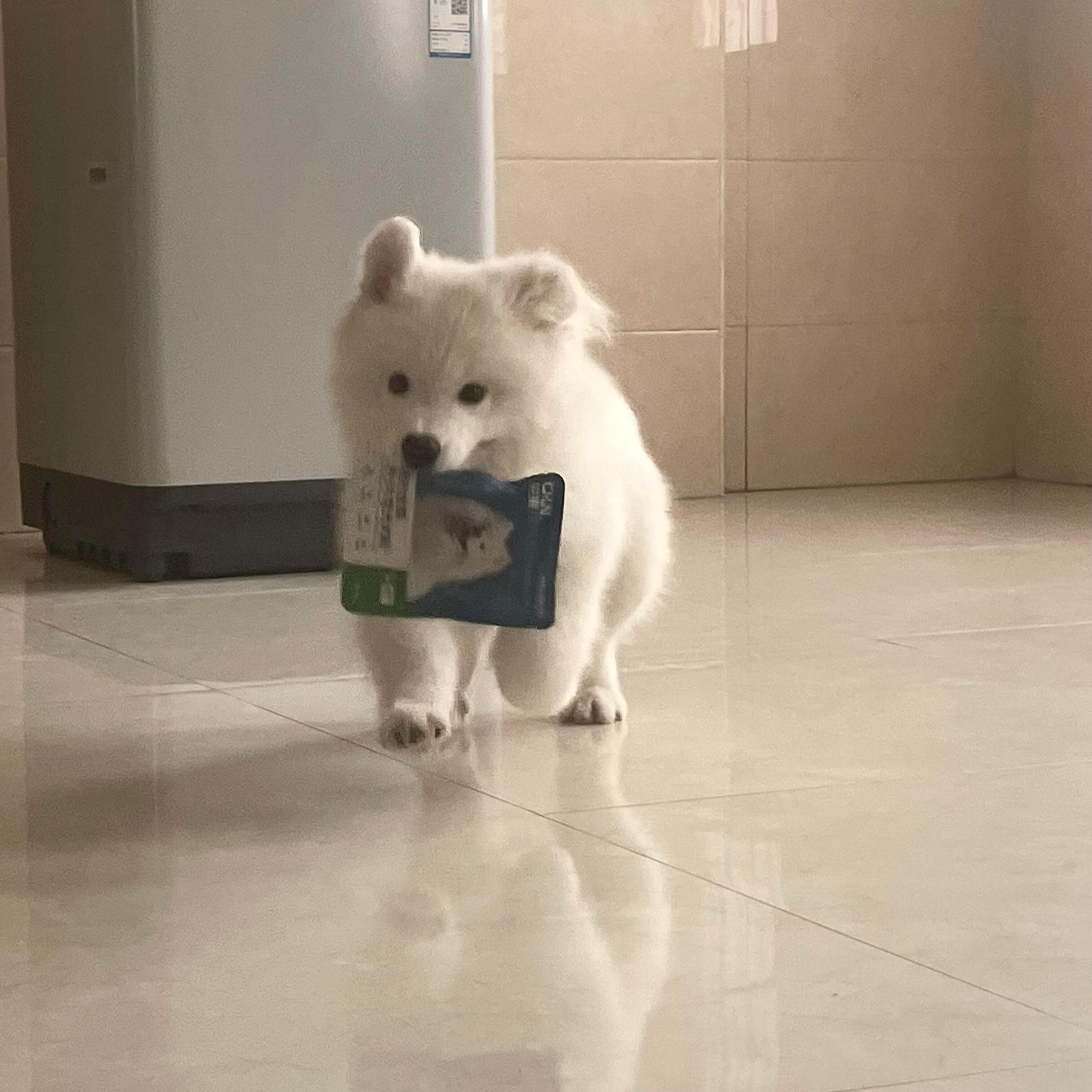 妈妈！帮我开一下这包零食！​​​