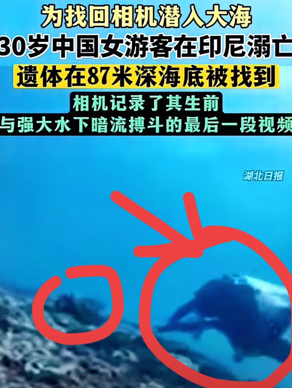 那名女游客真的太大胆了！我一个爱潜水的朋友说，他们一般就潜到40米左右，87
