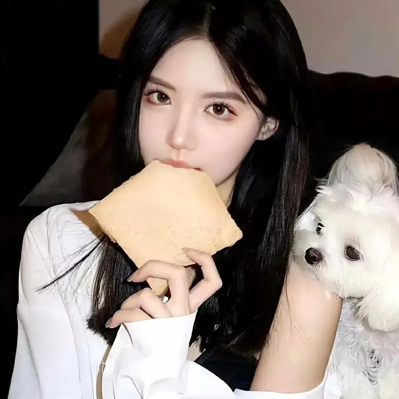 与小狗一起享受的下午茶时光甜系下午茶宠物鲜食下午茶小猫下午茶带狗狗去咖啡馆