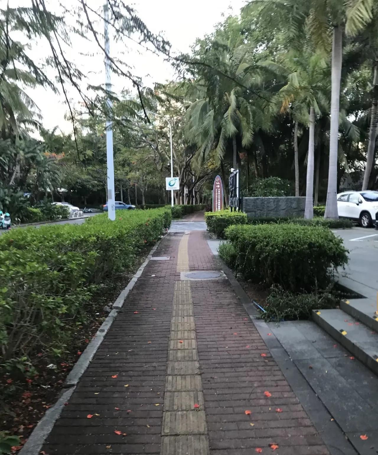 三亚女游客被咬的地方经常有蛇出没！从图片分析被咬的地方是在三亚市吉阳区小东海