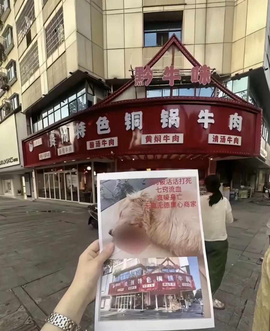 实在太暴力太残忍了！！！一只叫墩墩的金毛从家里偷跑出门，本想在店里乘凉，店家驱