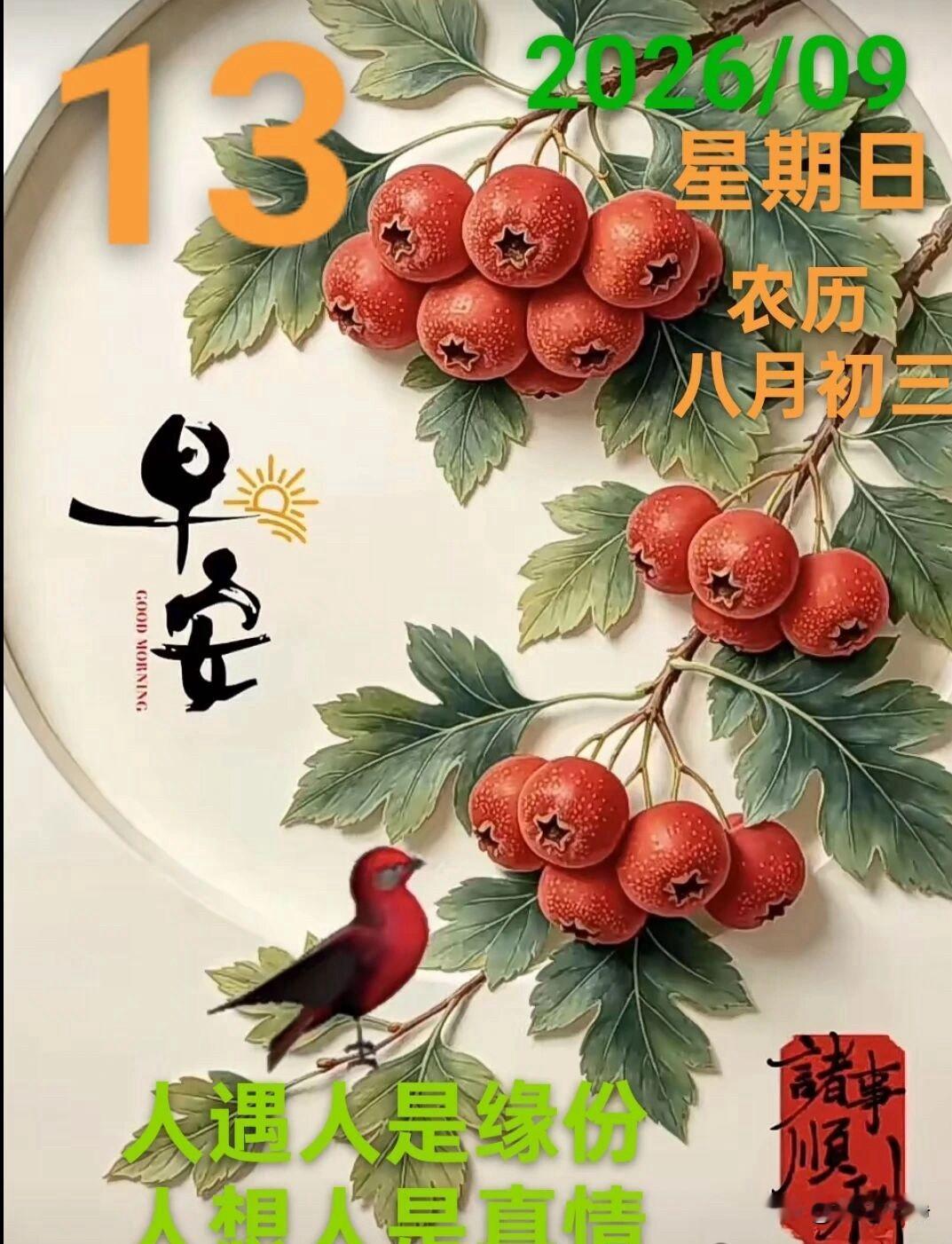 🍂²⁰²⁶/₀₉.₁₃ᵕ̈周日早安☕️🍒🍑🐎秋光温润，风也柔和，