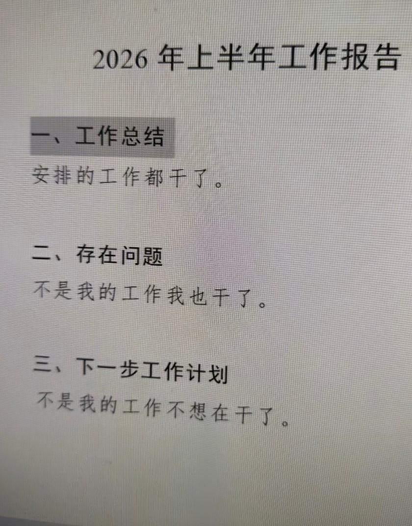 莪写工作报告：