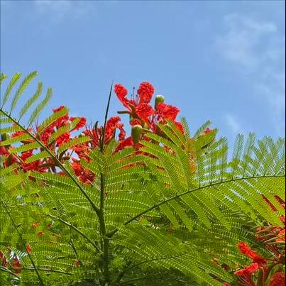 11月21日-23日  在广东深圳、惠州调研传递出这4个重要信号 一是前海