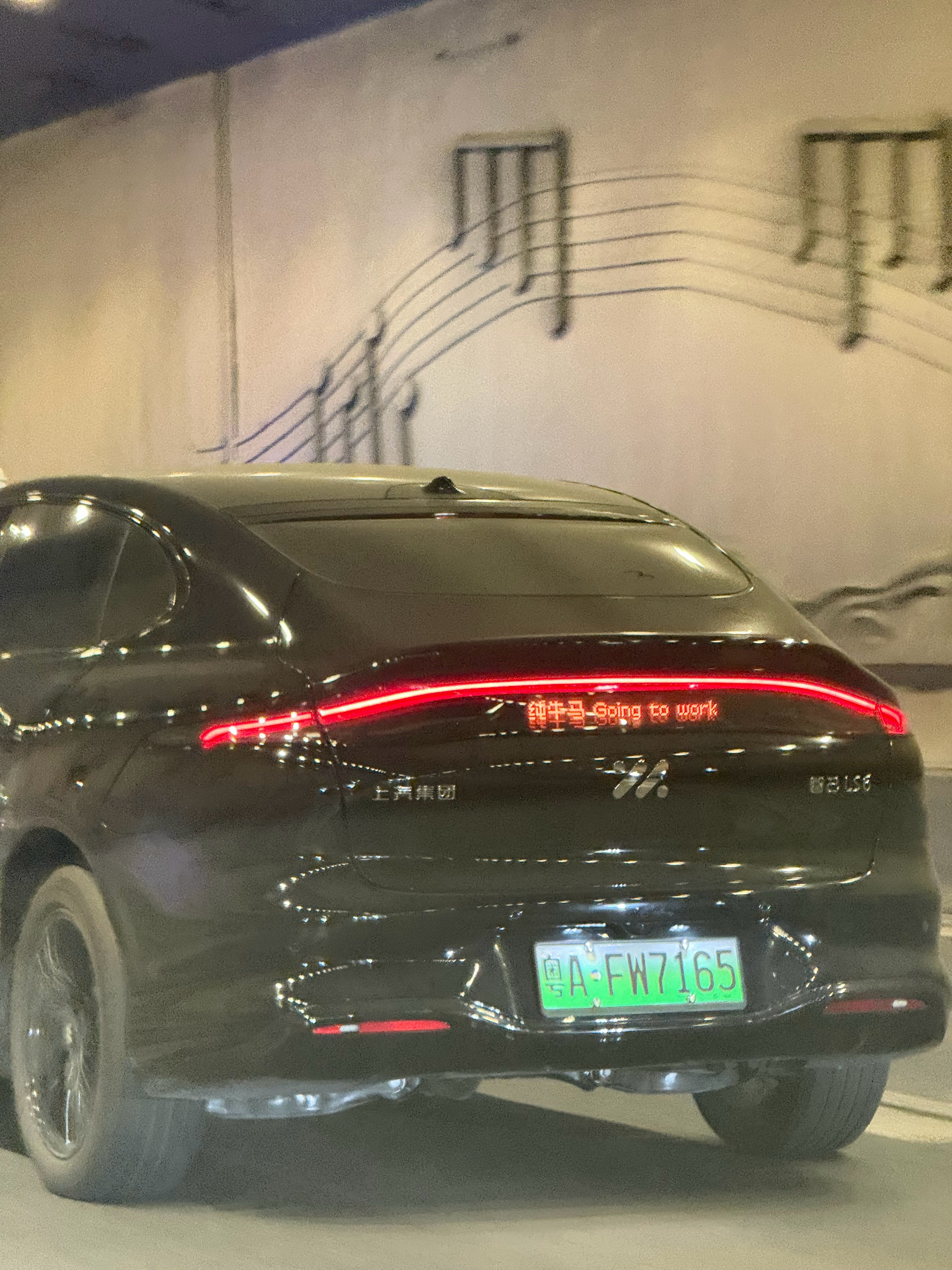 太会自朝了智己的车主！